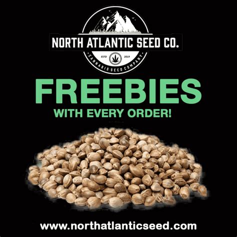 Northatlantic seed - Super Natural Seeds Cannabis Seeds » NORTH ATLANTIC SEED CO. NASC / Seeds / Super Natural Seeds. SHOP. 0 Items. SHOW FILTERS. OVER. 2200. …